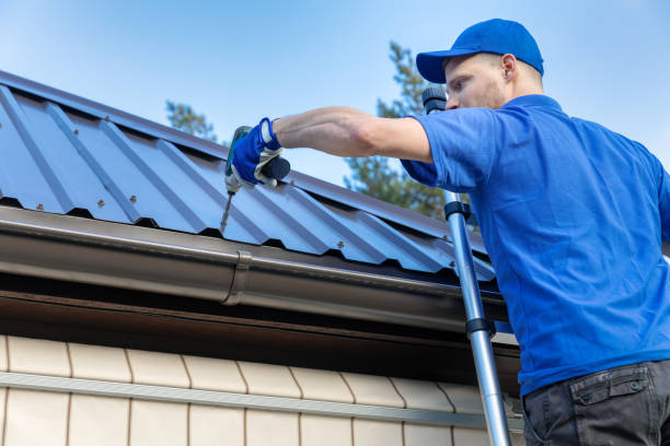 Best Solar Panel Roofing Installation  in West Monroe, MI