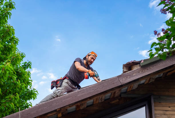 Best Roof Coating and Sealing  in West Monroe, MI